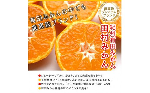 【和歌山特産品】【プレミアムブランド】絶品!濃厚田村みかん〔2Sサイズ〕秀品 約5kg ※2024年11月下旬～12月下旬頃に順次発送予定 ※北海道・沖縄・離島への配送不可【ard212】