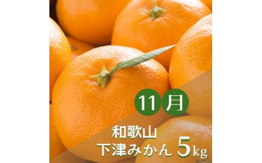 【3か月定期便】みかんの名産地和歌山発！秋のみかん定期便♪ゆら早生みかん・下津みかん・有田みかん【tkb362】