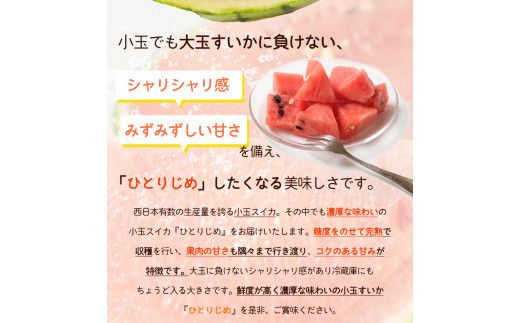 紀州和歌山産小玉スイカ「ひとりじめ」２玉【予約】※2026年6月上旬頃～7月上旬頃に順次発送予定(お届け日指定不可) スイカ すいか 果物【uot779】