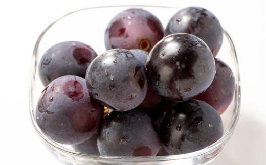 【2026年度発送分】【新鮮・産直】和歌山かつらぎ町産たねなしピオーネ約2kg ※2026年8月中旬～2026年9月中旬頃に順次発送予定【tec500B】