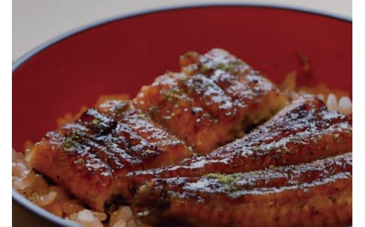 【全3回定期便】極上！国産うなぎ蒲焼 1尾×3回 計3尾 約600g 創業100年以上続く老舗 紀州備長炭でじっくり焼き上げた専門店の味 （タレ・山椒付き）【tkb315】