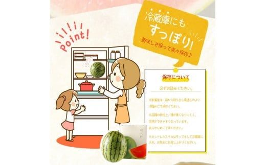 紀州和歌山産 小玉スイカ「ひとりじめ」１玉【予約】 ※2025年6月上旬頃～6月下旬頃に順次発送予定(お届け日指定不可)【uot778】