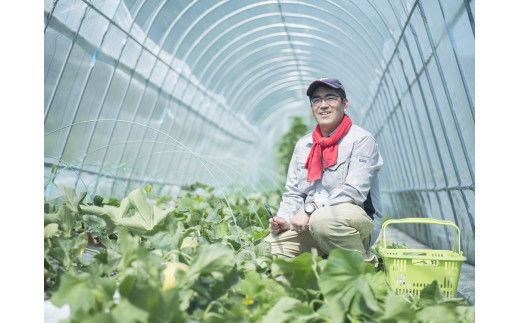 極み減農薬赤肉冬メロン（岡山県総社市産）022-003