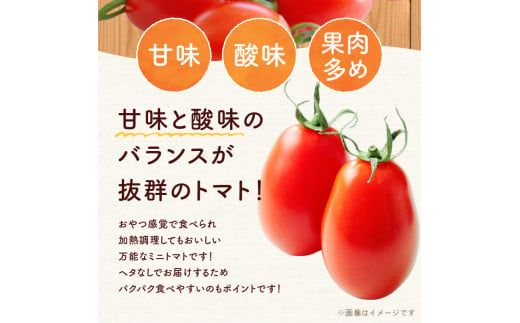 【先行予約：2026年7月下旬頃より発送】NicoFarm Nicoロッソ（ミニトマト）2Kg_Y124-0015