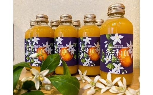 糸孫農園の100％みかんジュース「糸孫100」180ml 8本ギフトセット（A1044-2）