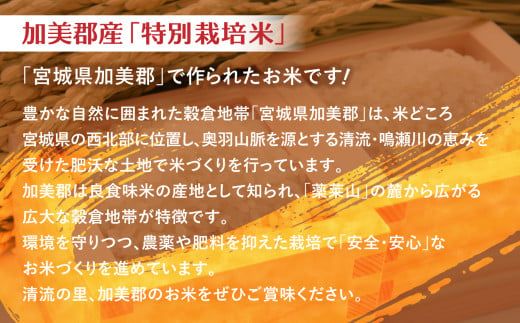 米 無洗米 金芽米 令和6年 宮城県 加美産 ひとめぼれ 特別栽培米 120kg （ 5kg × 24袋 ） [ 宮城県 加美町 ]  お米 こめ コメ 精米 白米 玄米 きんめまい おすすめ 新米 