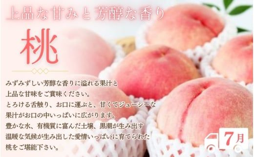 定期便 フルーツ 【全3回】紀州和歌山産 旬のフルーツ定期便（いちご・桃・巨峰） 【tkb400】