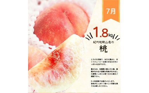 【全4回】紀州和歌山産旬のフルーツ定期便 (スイカ・桃・巨峰・シャインマスカット) / すいか スイカ もも 桃 白桃 巨峰 マスカット シャインマスカット 葡萄 ぶどう 果物 くだもの フルーツ フ