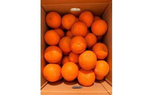 【ご家庭用訳アリ】紀州有田産清見オレンジ　7.5kg 	※2027年3月下旬頃〜2027年4月下旬頃に順次発送予定(お届け日指定不可)【uot730】
