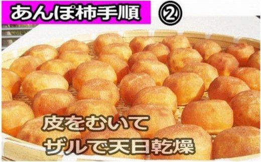 甘さが違う！とっても甘くなる生渋柿（平たねなし柿）あんぽ柿用 T軸枝無  約4.5～5kg　約24～30個＜2026年10月中旬～11月上旬ごろ順次発送＞-AP【art003B】