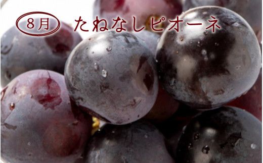 【3か月定期便】【数量限定】和歌山産フルーツ定期便！人気の桃とぶどう三昧　桃 ピオーネ シャインマスカット【tkb152】