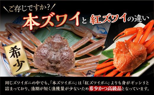 ※賞味期限2025年11月30日　ずわいがに棒肉ポーション　【500g】