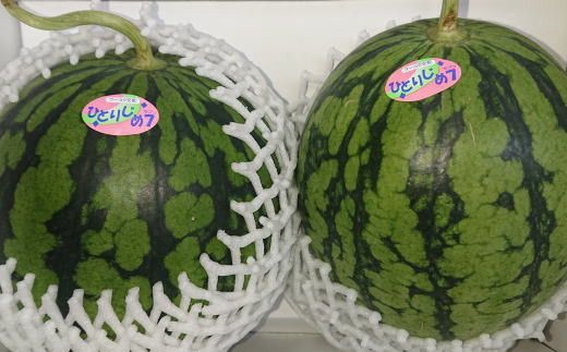 【産地直送】和歌山産小玉すいか「ひとりじめ7(セブン)」2玉入り　3.5kg以上　※2026年6月下旬～2026年7月中旬頃に順次発送【tec501C】