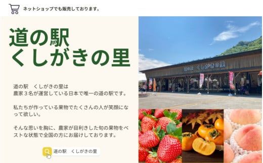 【先行予約】富有柿 2kg～2.5kg 6個入 至高の逸品 約1000個に１個！ 2025年10月下旬～2025年11月下旬頃に順次発送予定（お届け日指定不可）/ 和歌山 柿 かき フルーツ 果物 く【kgr013】