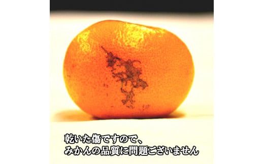 有田みかん「風のしるし」（約5kg）(A1051-1)