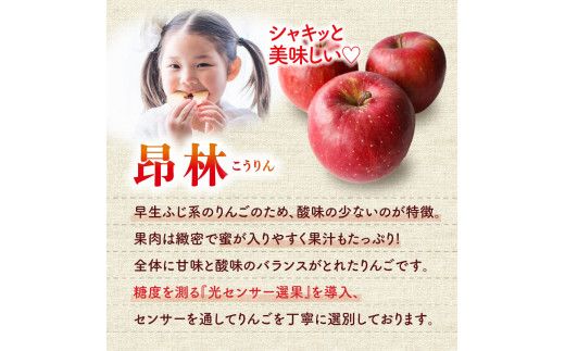 【先行受付：2026年10月中旬以降発送分】りんご（昂林）5kg_Y010-0661