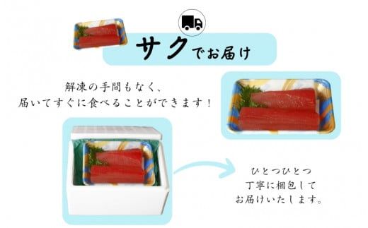 水揚げ高日本一！ 南紀勝浦産 生びんちょうまぐろ（刺身用サク) 約1kg/マグロ まぐろ 鮪  ビンチョウマグロ びんながまぐろ 柵 刺身 冷蔵【nss408】