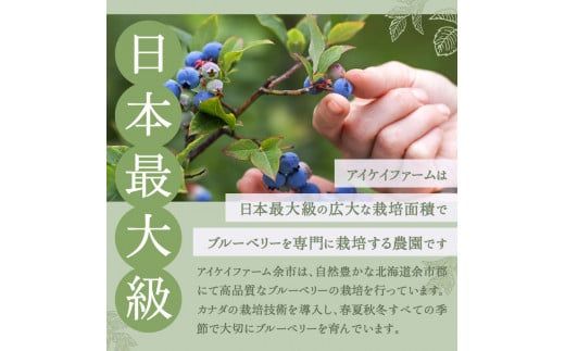 ブルーベリー コンポート 2本入_Y111-0003