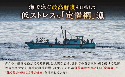 北海道 タラの漬け魚【6パック】