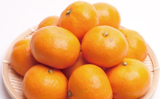 【先行予約】プレミアム有田みかん10kg+250g（傷み補償分）11月より発送(完熟)/ みかん ミカン 有田みかん 柑橘 フルーツ 果物 和歌山 オレンジ【ikd215】