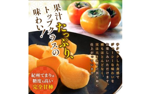 紀州てまり（和歌山県ブランド柿）6～7個入 こだわり農家厳選 先行予約 【2026年10月初旬頃から11月中旬頃順次発送】 / 柿 フルーツ 果物 かき 和歌山 かつらぎ 農家直送 贈答【kgr029】