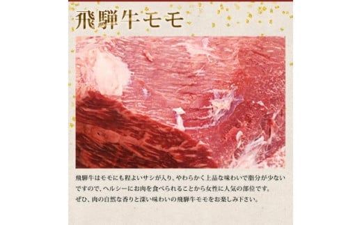 「肉の芸術品」飛騨牛切り落とし（モモ、肩、バラ）600g【用途は様々！焼肉、BBQ、すき焼き、煮物、牛丼、炒め物など】 F4N-1697