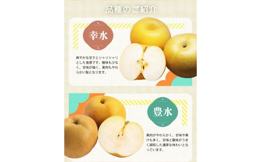 紀州和歌山産の梨 3玉 化粧箱入 ※2026年8月中旬～9月上旬頃に順次発送 ※日付指定不可 梨 なし ナシ 果物 くだもの フルーツ 甘い【uot787】