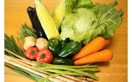 越知産市の季節の野菜セット(年1回発送)　産地直送　旬野菜