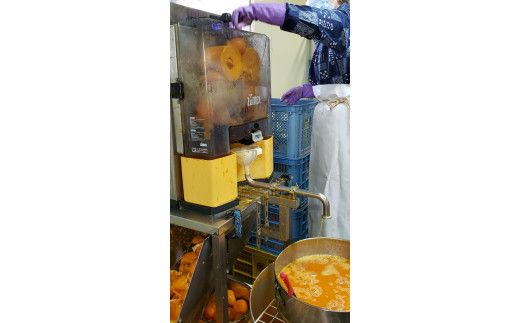 有田みかんの味皇（あじおう）180ml×12本【kjk101】