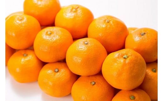 田村みかん 5kg 秀品【小玉サイズ】/紀州和歌山有田郡湯浅町田村地区産 ◆2025年11月下旬～2026年1月中旬頃に順次発送(お届け日指定不可)　紀伊国屋文左衛門本舗【ntbt306B】