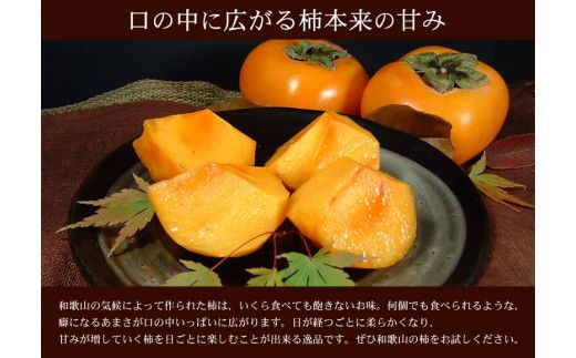 和歌山の 種なし 柿 約7.5kg【秀品：サイズ・品種おまかせ】和歌山県産/紀伊国屋文左衛門本舗　※2025年9月下旬～2025年11月下旬頃に順次発送予定(お届け日指定不可)【sgtb801B】