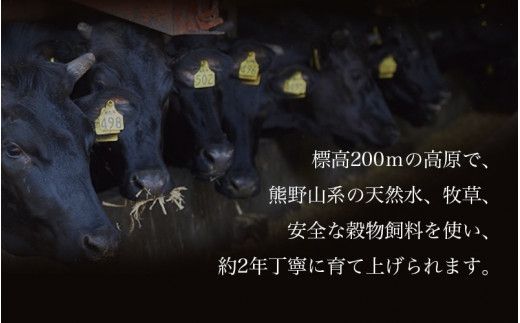 紀和牛すき焼き用赤身700g【冷凍】 / 牛  肉 牛肉 紀和牛  赤身 すきやき 700g【tnk113-2】