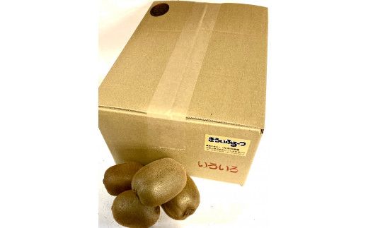 紀州かつらぎ山のキウイフルーツ約３ｋｇ ※※2027年1月下旬～2月上旬頃に順次発送予定(お届け日指定不可)【uot792】