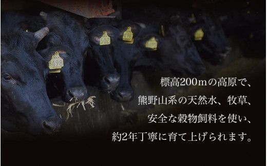 紀和牛すき焼き用ロース800g【冷凍】 / 牛 牛肉 紀和牛 ロース すきやき 800g【tnk110-2】