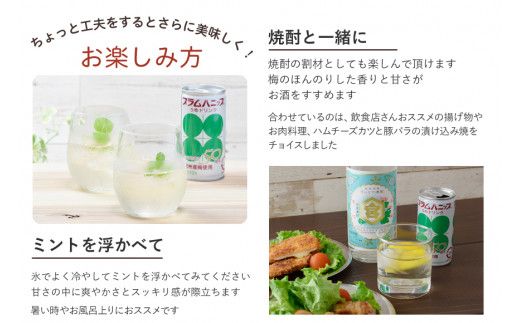 プラムハニップ１ケース（30本） / ジュース 飲料 ドリンク 梅 うめ 【prm004A】