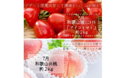 【全6回定期便】奇数月にお届け♪【産直】野菜＆フルーツ定期便！キウイ・不知火・アイコトマト・桃・極早生みかん・有田みかん【tkb358】