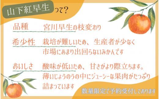 【和歌山県産】秀品 「紅娘」 温州 みかん  山下紅早生 1kg 「お試しに♪」 【S~2Lサイズおまかせ】【2026年11月中旬～2026年12月中旬までに順次発送】＜味好農園＞ /温州みかん みかん 蜜柑 柑橘 山下早生 早生 秀品 紅早生 フルーツ 果物 くだもの 希少【agy004-beni-1】