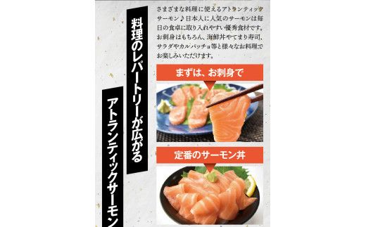 タスマニア産サーモンブロック 3～4ブロック 合計600g サーモン 鮭 さけ 刺身 さしみ 冷凍 オーストラリア産【nks701B】