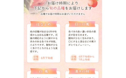 【先行予約】和歌山県産の美味しい桃 約2kg （6～9玉入り）【2024年6月中旬頃～8月中旬頃順次発送予定】 和歌山 もも モモ 桃 ギフト 贈り物 プレゼント 夏 果物 フルーツ【mat101A】