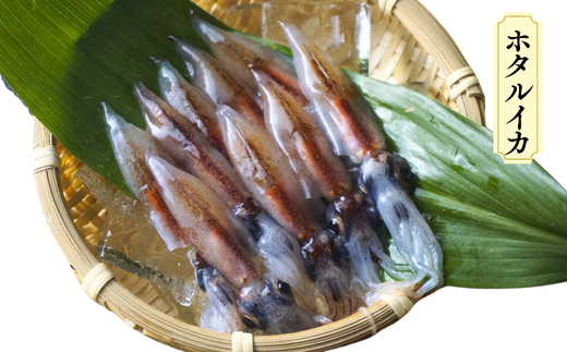 先行予約【兵庫県香住産 香住のイカづくし 合計2.2kgセット 冷凍】令和8年6月下旬以降順次発送予定 国産 香住 山陰 いか 詰め合わせ 鮮度抜群 急速冷凍 産地直送 おすすめ 兵庫県 香美町 宿院商店 33-08