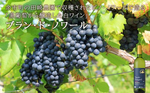 【北海道ワイン】【 葡萄作りの匠 田崎正伸 】 2種 飲み比べセット 余市 北海道 白ワイン 2本 セット ピノノワール ミュラートゥルガウ 余市のワイン 国産ワイン _Y020-0437