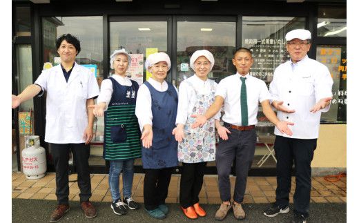 豚肉 おだしまポーク 切り落とし 250g×2 計500g [関精肉畜産 宮城県 加美町 ss-opko500] 肉 国産 冷凍 小分け 小間切れ 宮城県産 ブランド豚