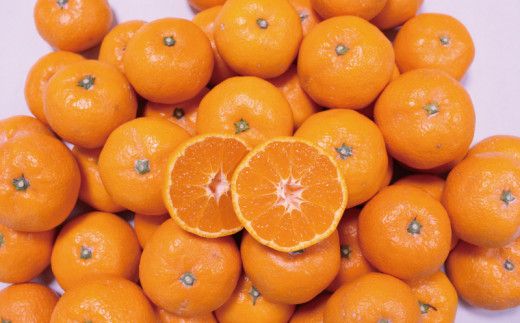 こだわりの和歌山県産 有田みかん 5kg（S～Lサイズおまかせ） ひとつひとつ手選別で厳選！生産者から直送 【2025年11月下旬～1月中旬ごろに順次発送予定】【hdm005】