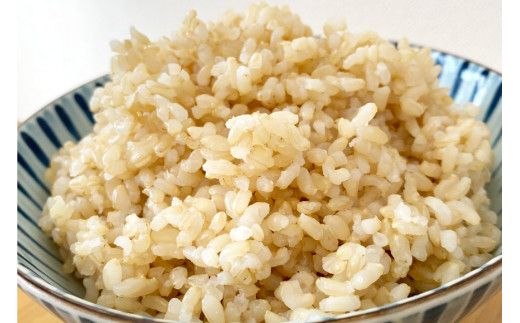 【6回定期便】 簡単に炊ける 宮城県産 ひとめぼれ 発芽玄米 計6kg(1kg×6回) [菅原商店 宮城県 加美町] 米 こめ コメ 玄米 発芽玄米 ご飯 | sg00004-r601-1kg-6