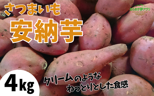 【先行予約】【さつまいも 安納芋 4kg】10月から12月にかけて発送予定 農薬不使用 農薬不使用 あんのう芋 サツマイモ イモ いも クリーム ねっとり 兵庫県 香美町 村岡 むらおか夢アグリ 41-13