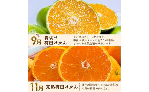 和歌山旬のカンキツ定期便【S】全4回（配送日時指定不可）※北海道・沖縄・離島への配送不可 / 定期便 フルーツ みかん 清見オレンジ 青切りみかん カラマンダリン 4回 【ard-tkb902A】