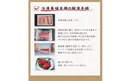  本マグロ （養殖）トロ＆赤身セット 1350g【3か月以内に発送】 / 本マグロ 冷凍 まぐろ マグロ 鮪 中トロ 赤身【nks111B】