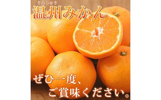 【先行予約】秀品 有田みかん 2kg 2S～Lサイズのいずれか ※2024年11月下旬頃～2025年1月下旬頃に順次発送予定 / みかん ミカン 蜜柑 温州みかん 柑橘 フルーツ 【uot835】