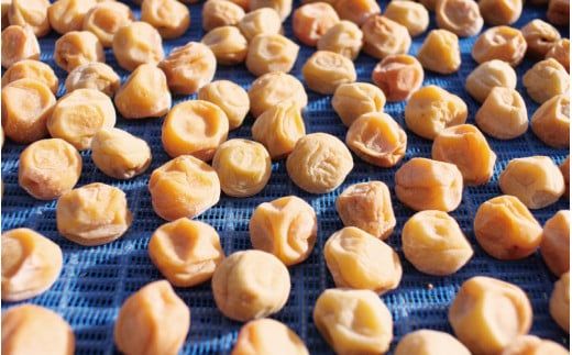 完熟南高梅 白梅干し 1.25kg 塩分約20％ 完全無添加 サイズ混合