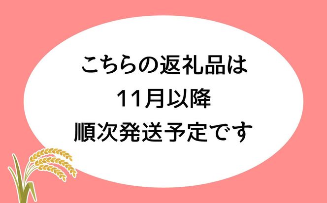 《 先行予約 》 【 3回 定期便 】ササシグレ 玄米 5kg × 3回 （ 合計 15kg ）